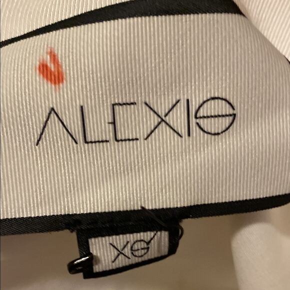 ALEXIS Embroidered Mini Skirt - Picture 11 of 12